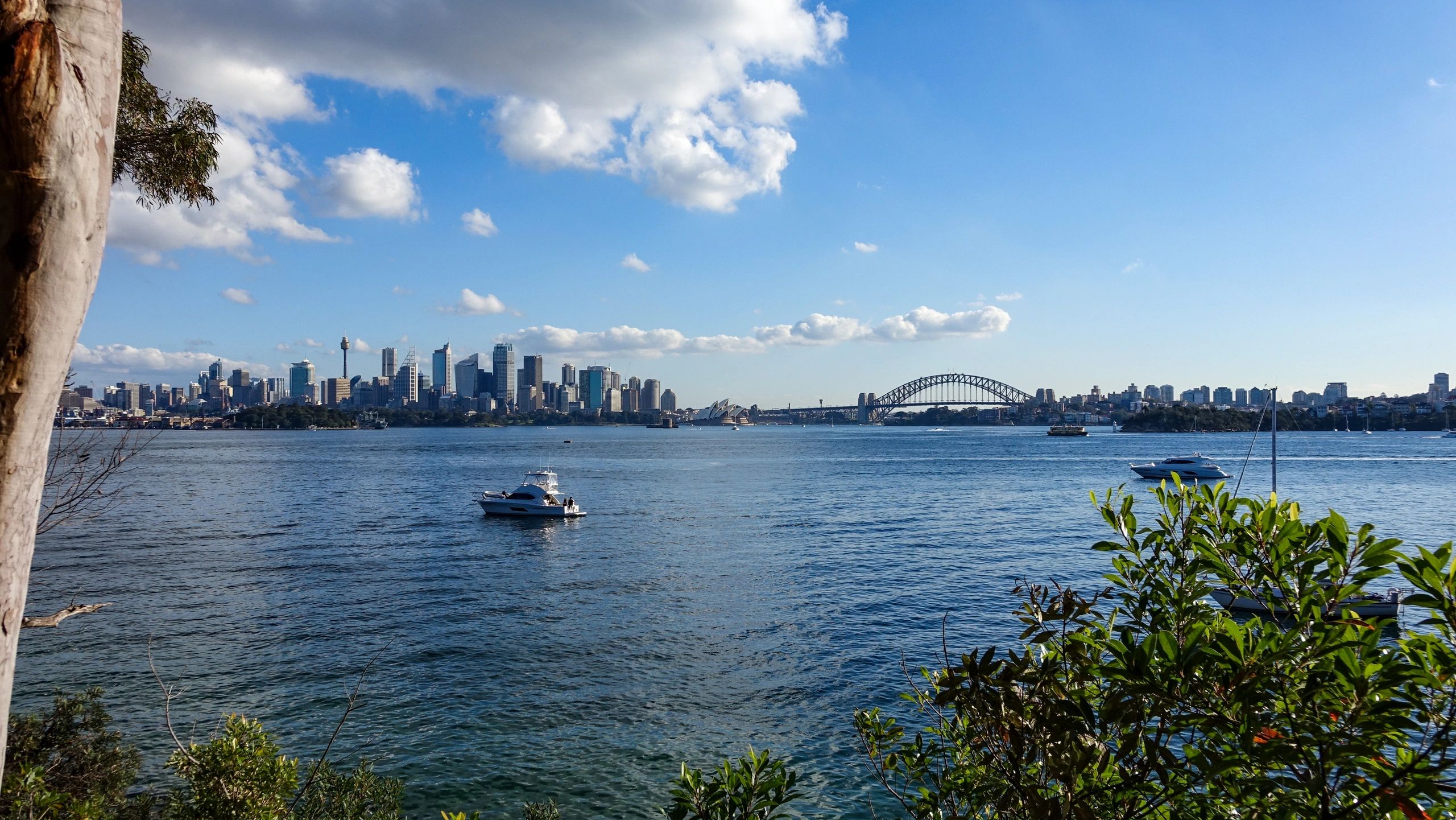 Sydney Harbour skyline representing Australia